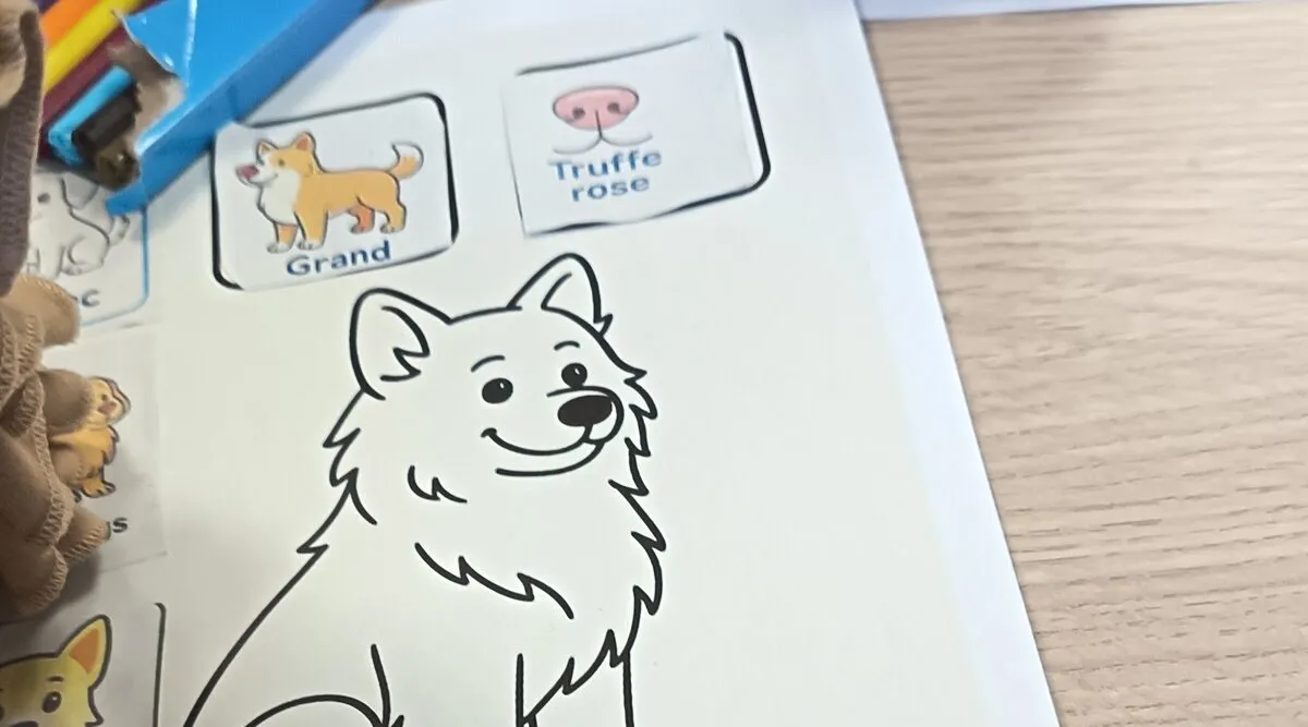 Non, un chien gentil ne suffit pas pour faire de la médiation animale
