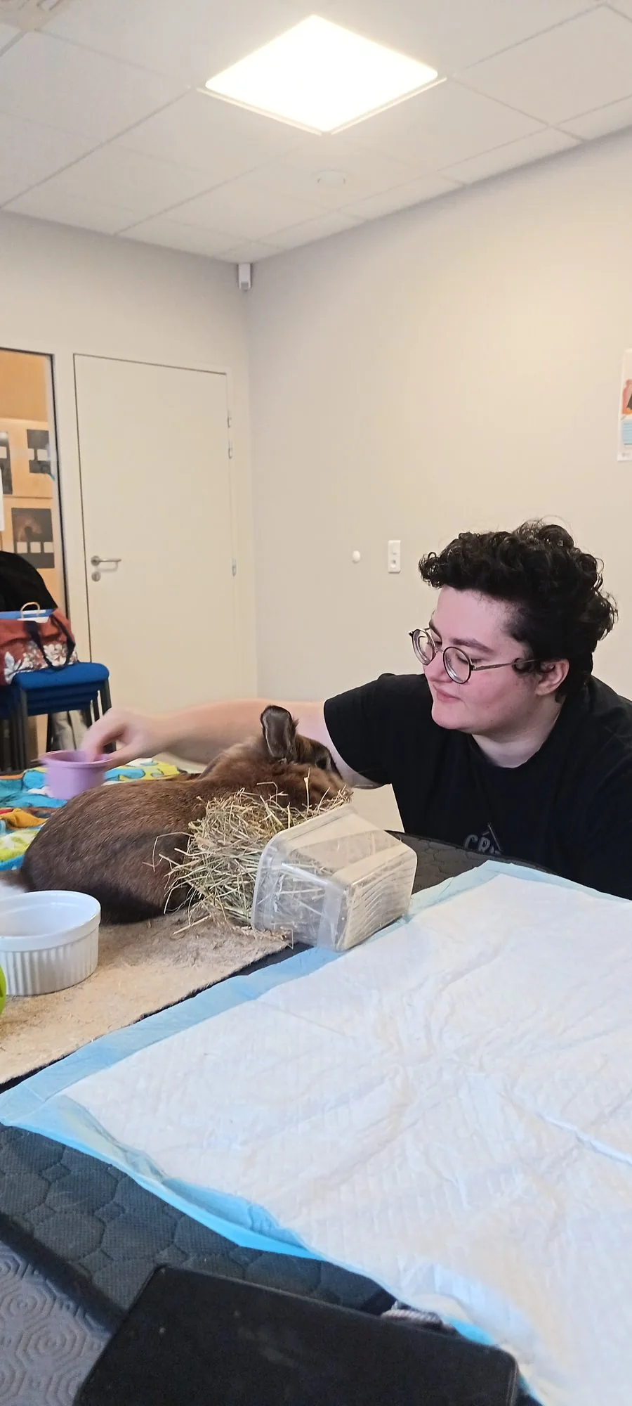 Séance de médiation animale avec un monsieur âgé et Uxo, le Berger américain miniature médiateur